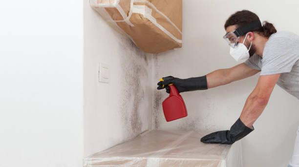 Professional Attic Mold Remediation technician working in Auburndale, FL
