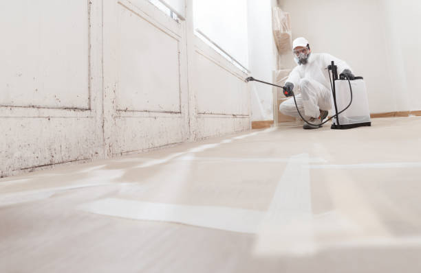 24/7 Emergency Attic Mold Remediation experts in Auburndale, FL